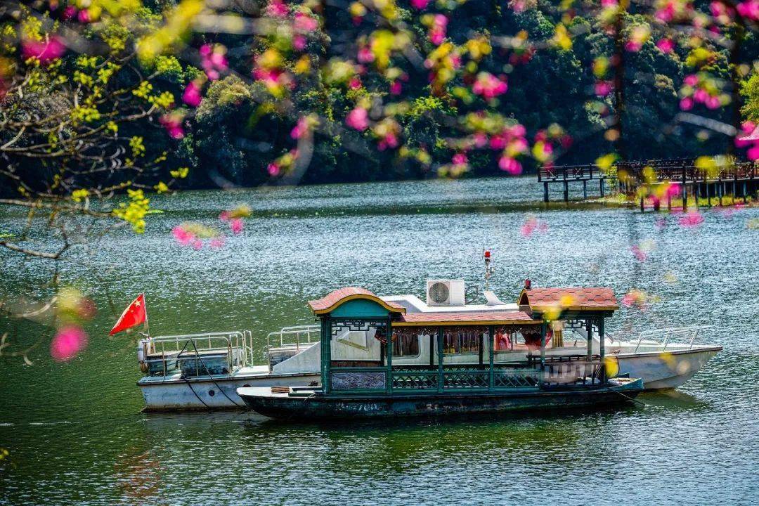 漳平九鹏溪风景区图片图片