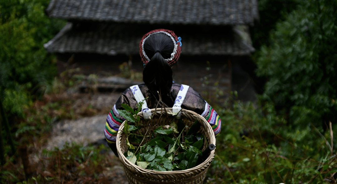 与此同时