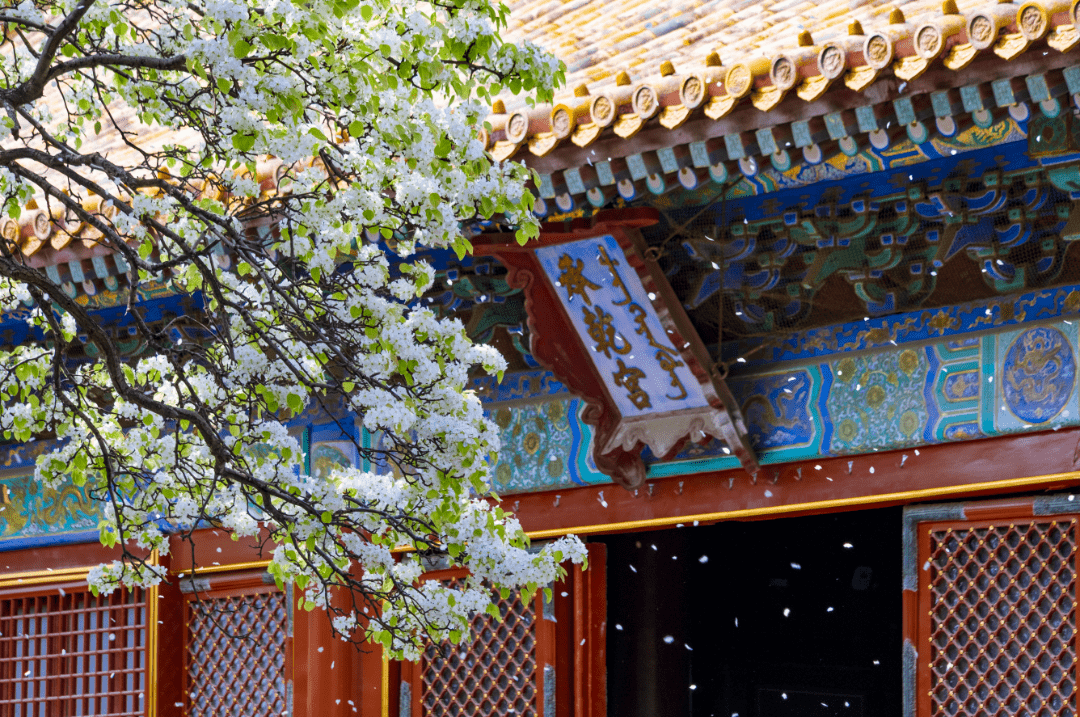 创意_公园_故宫博物院