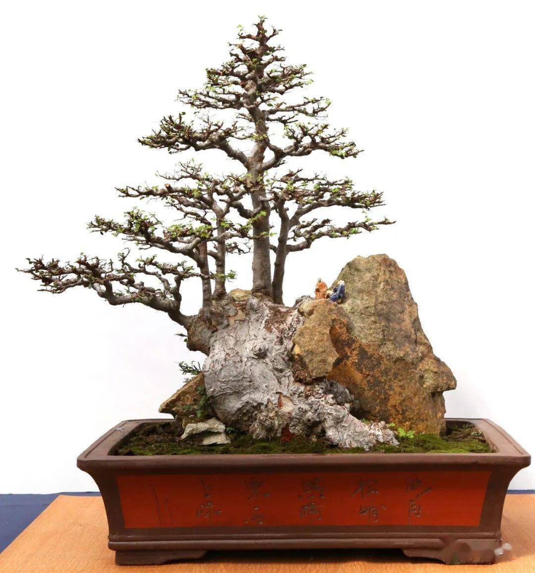 包石,抱石_cm_作品_榆树