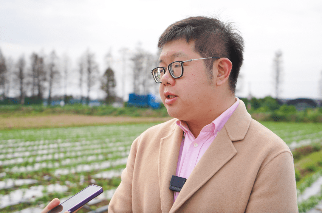 广东鸿景农业科技有限公司总经理年益多介绍,园内实行三季轮作,第一季