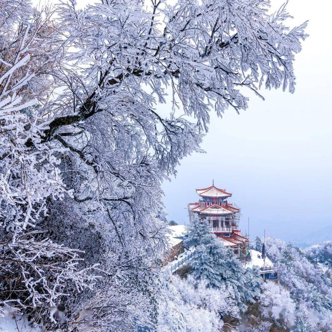 悄然无声的春雪中倾听雪落的声音雪落人肩,共赏清欢雪落人间,美景如画