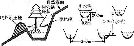 鱼鳞坑,鱼鳞坝与鱼鳞云_中国