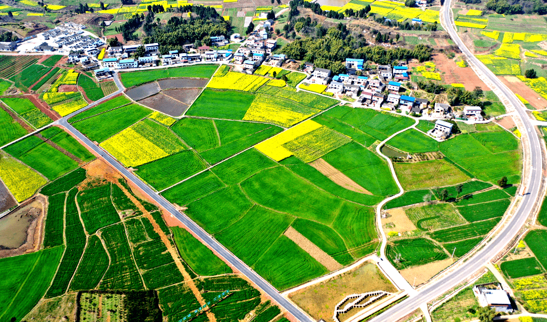 《人民日报》深度聚焦眉山丨积极保障高标准农田建设成果 管护长效化