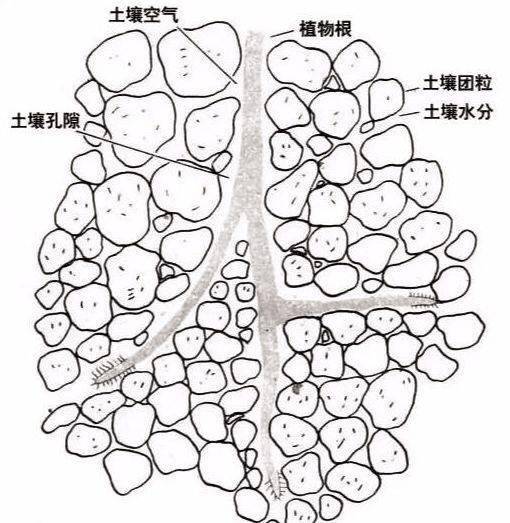 土壤的团粒结构图图片