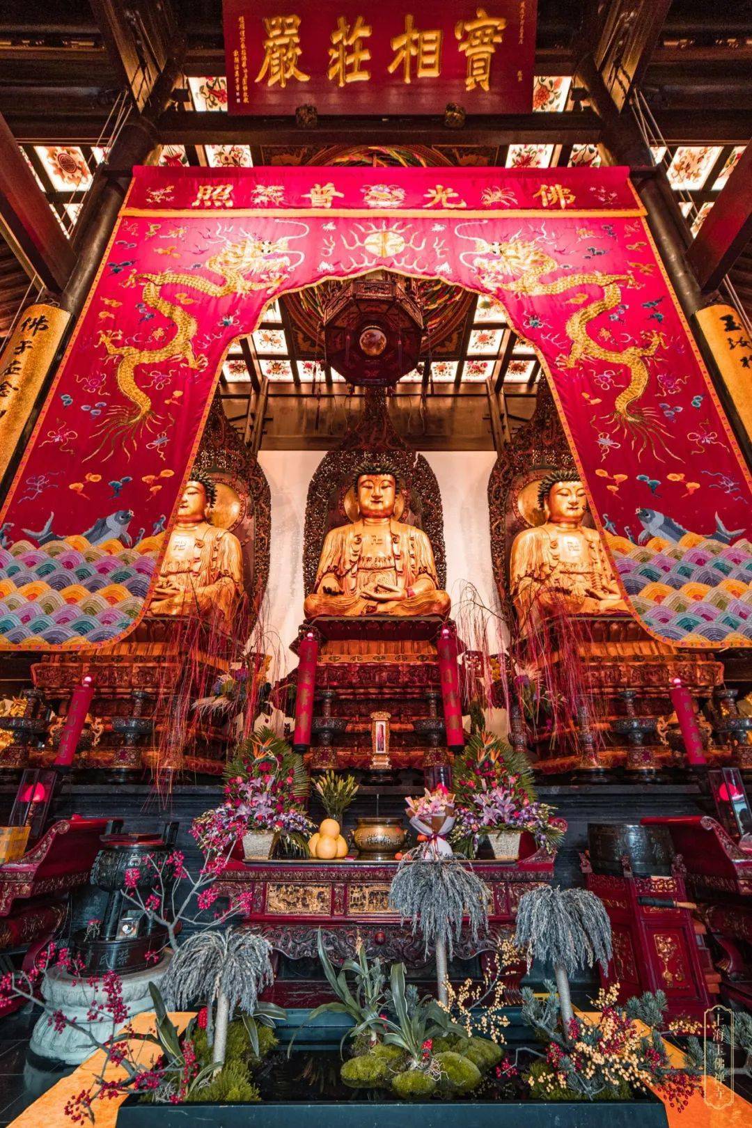 一起变更好|将此深心奉尘刹,是则名为报佛恩!_众生_功德_楞严