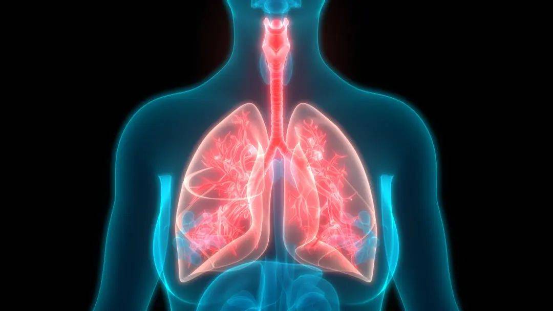 肺部有肿瘤可以活多久图片