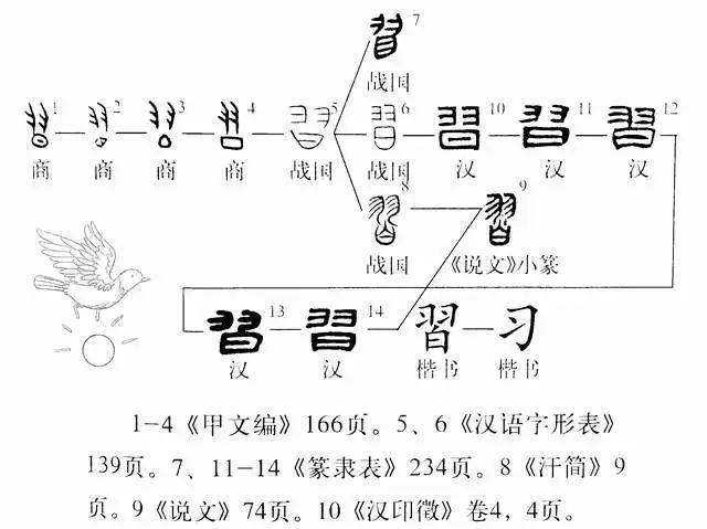 《说文解字》第683课:学习的"习,繁体字为什么与鸟相关?