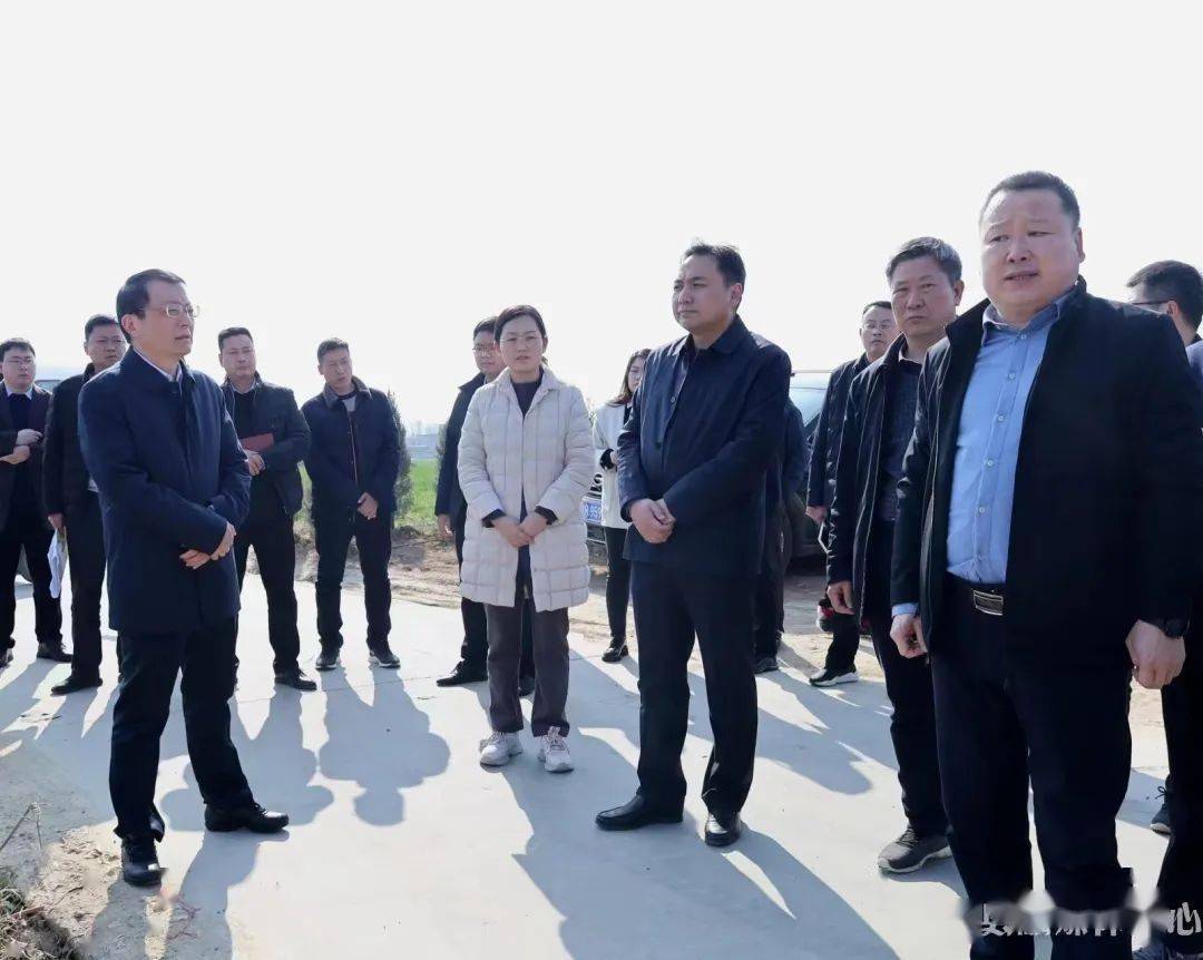 即可进入唐河在线公众号-回复"拼车"