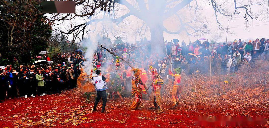 阿细祭火节2021图片