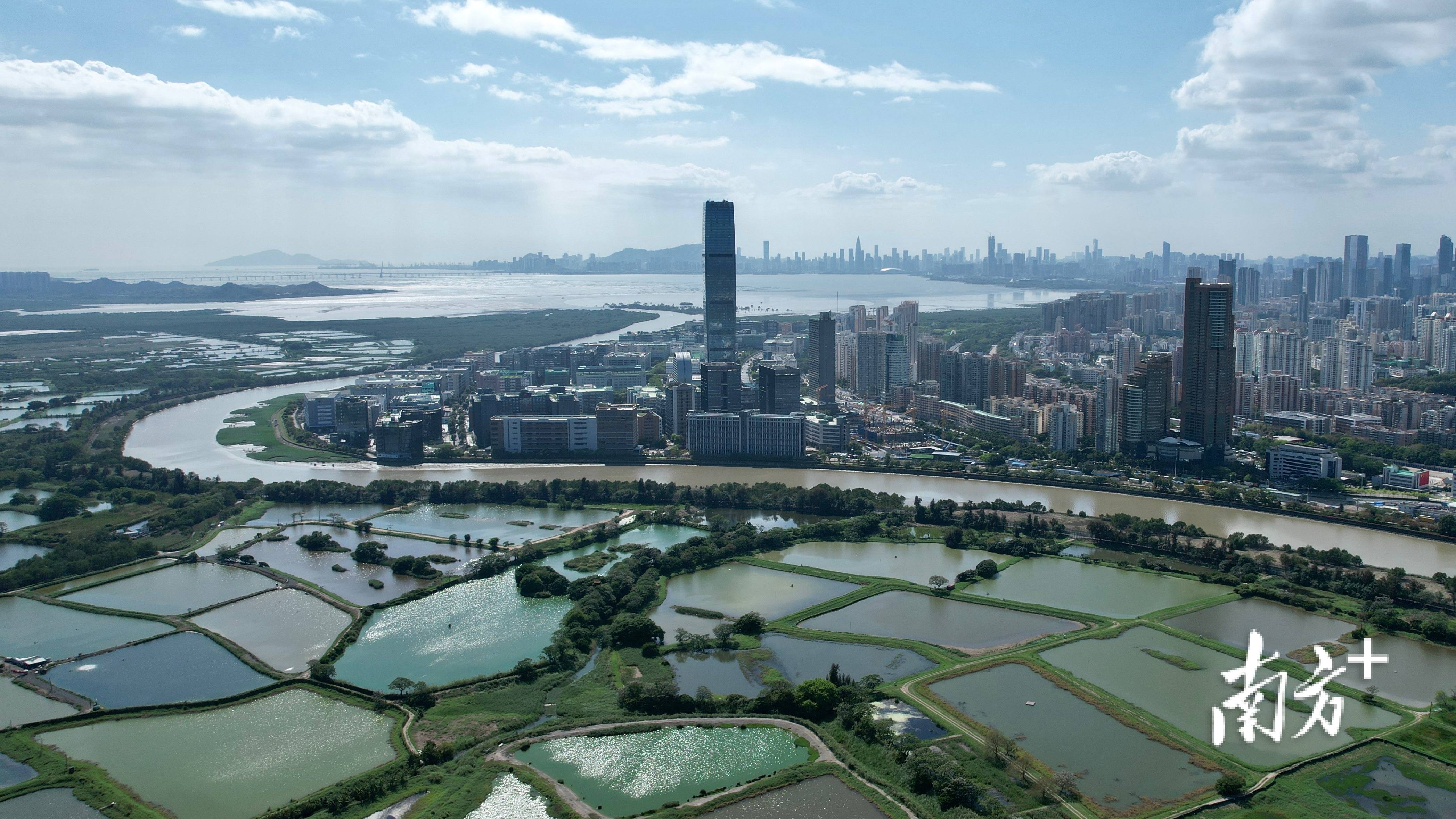 拥有国家战略平台河套,两大通关口岸,广深港高铁站的福田,是深港交流