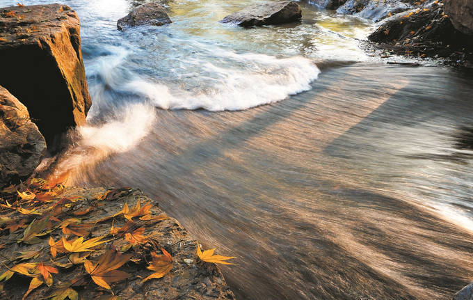 美丽河湖,绘就人水和谐秀美新北_整治_孟河_生态