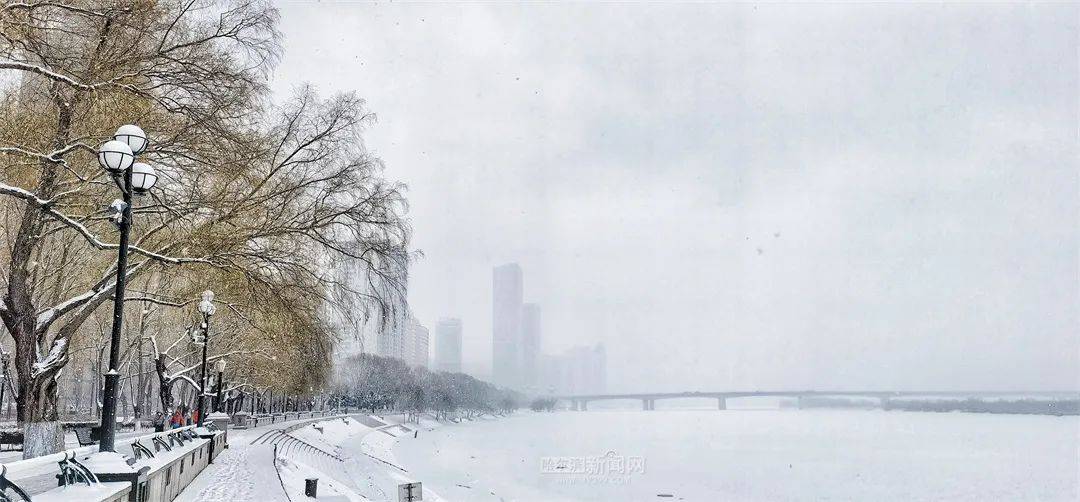 三月的雪花能够有多都雅