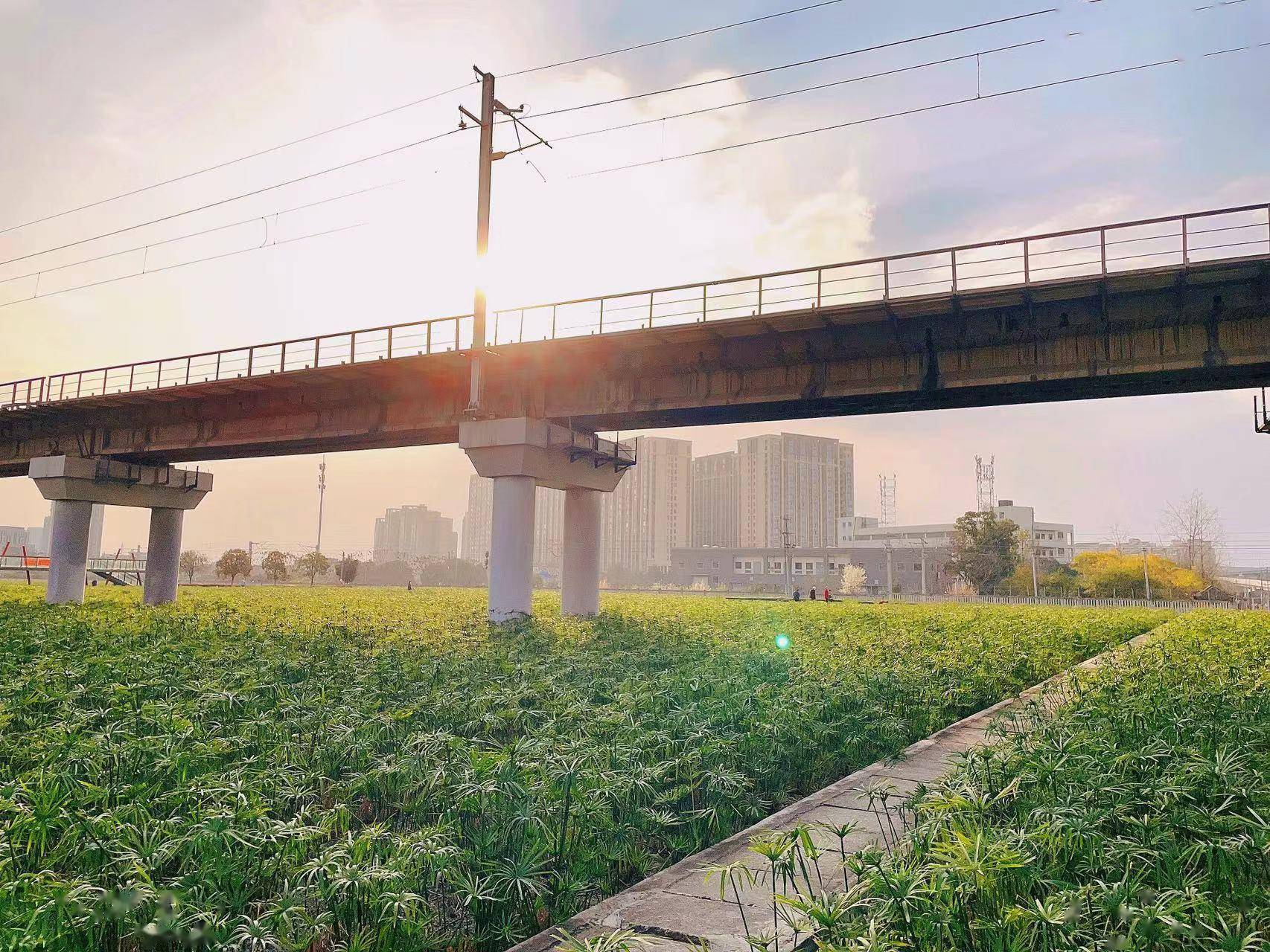 在成都，游世界 | 市区里的“枫丹白露宫”