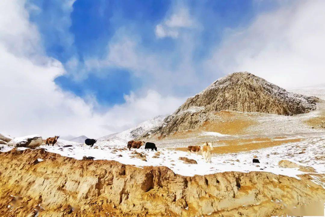 新疆和田皮山自驾小环线d1:和田市落地租车(g315)——皮山县d2:皮山县