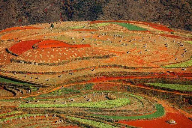 东川红土地 落霞沟图片