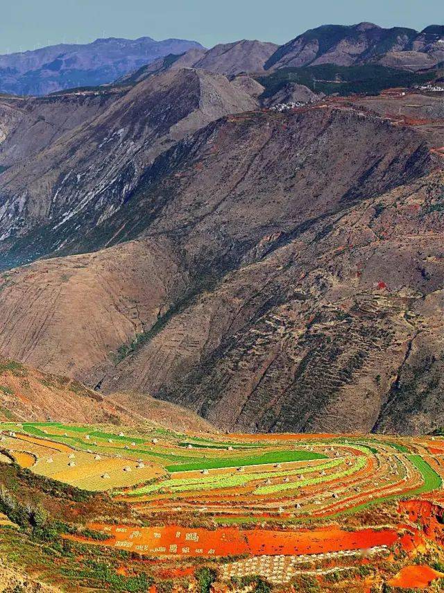 东川红土地 落霞沟图片