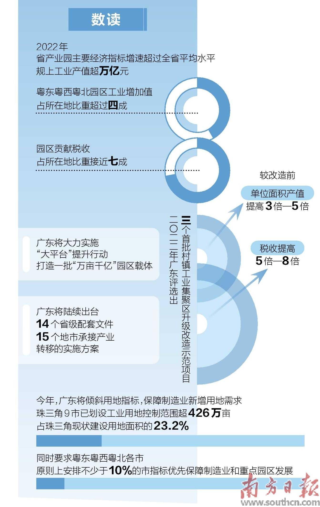 法国梧桐树（中国梧桐树图片） 第4张