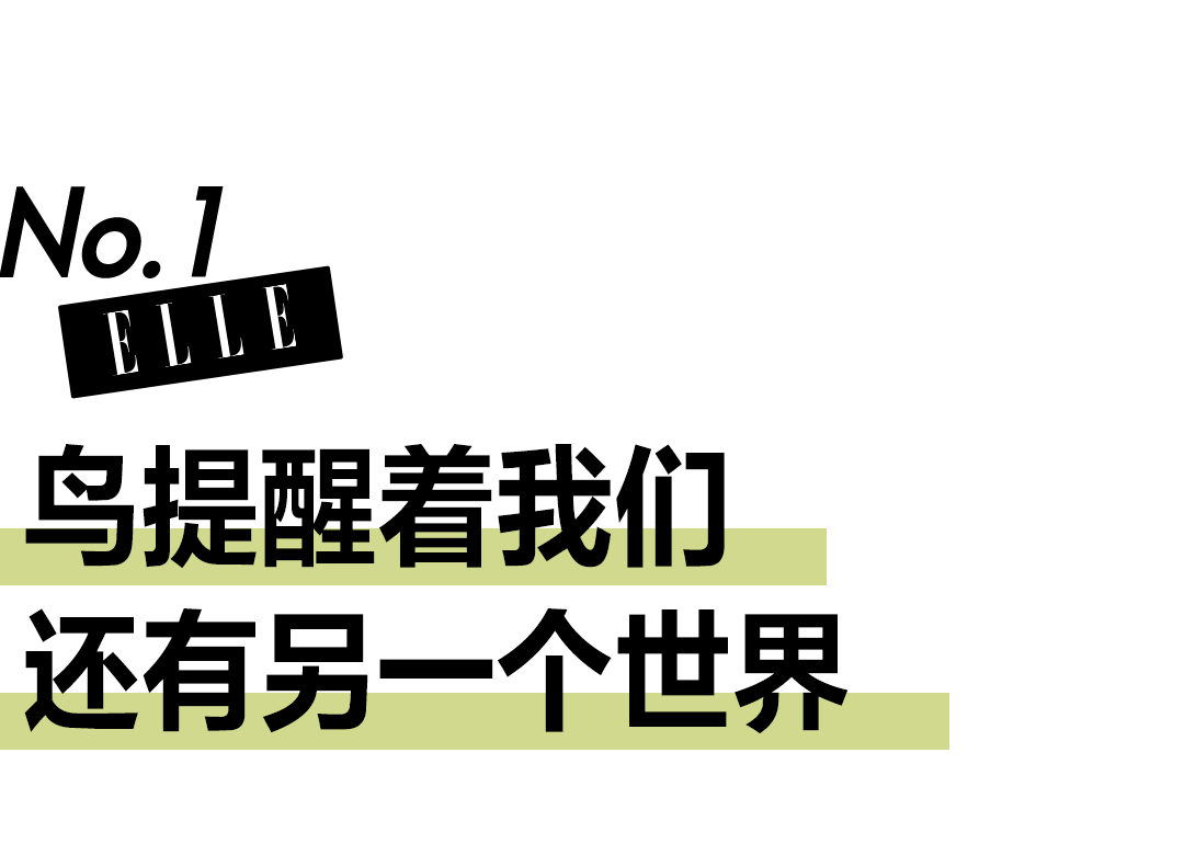 公益短片《守护湿地之美》｜张天爱与吴宣仪配合助力湿地恢复，续写生态平衡