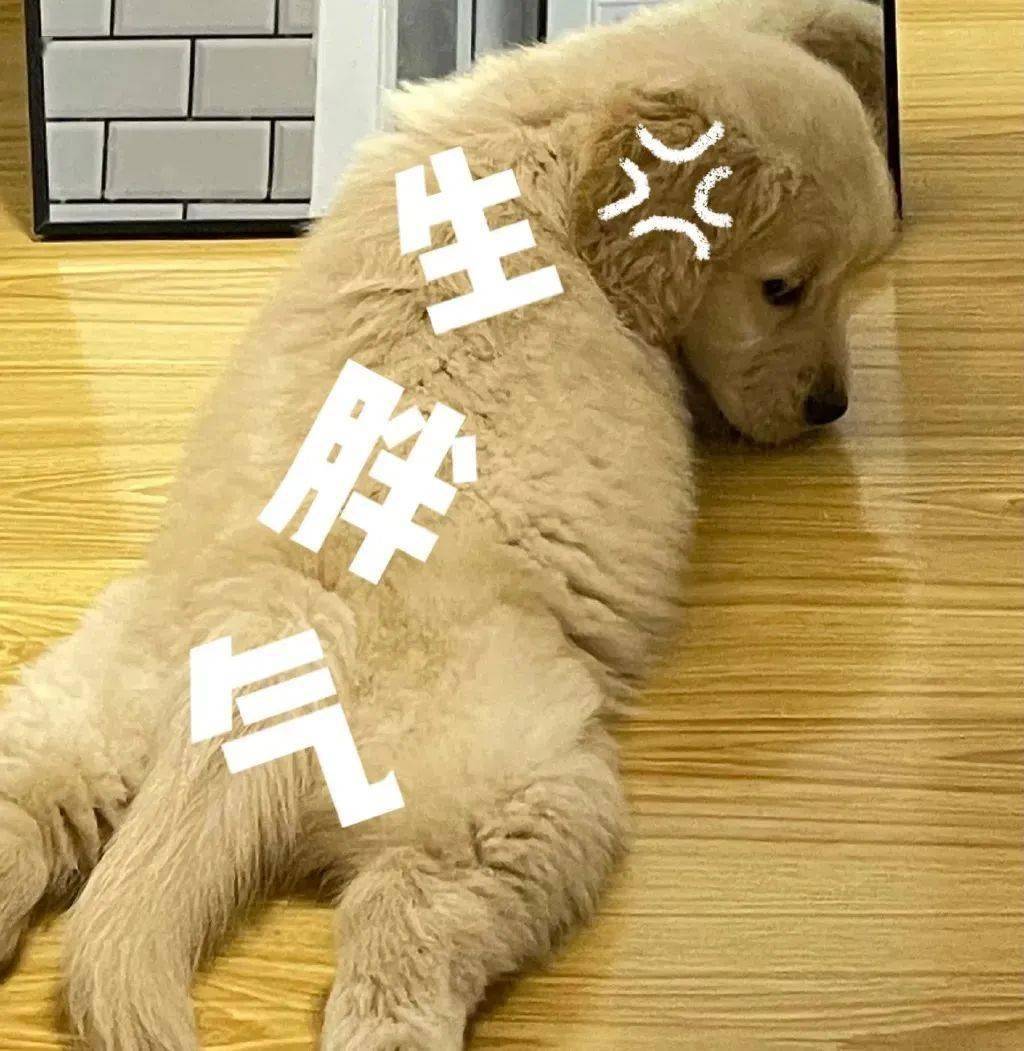 最新热门表情包:告诉老墨 我想吃鱼了_熊猫头_什么_高启