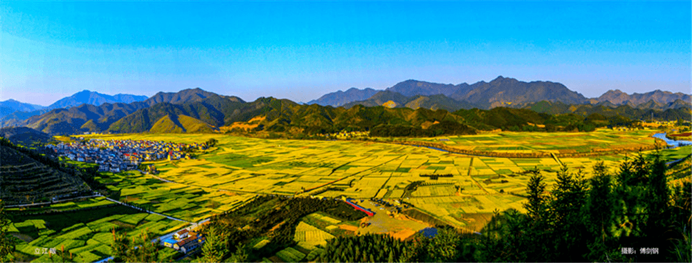 賞花地圖,可導航前往村頭鎮木蘭畈池淮鎮立江畈長虹鄉臺回山大溪邊鄉