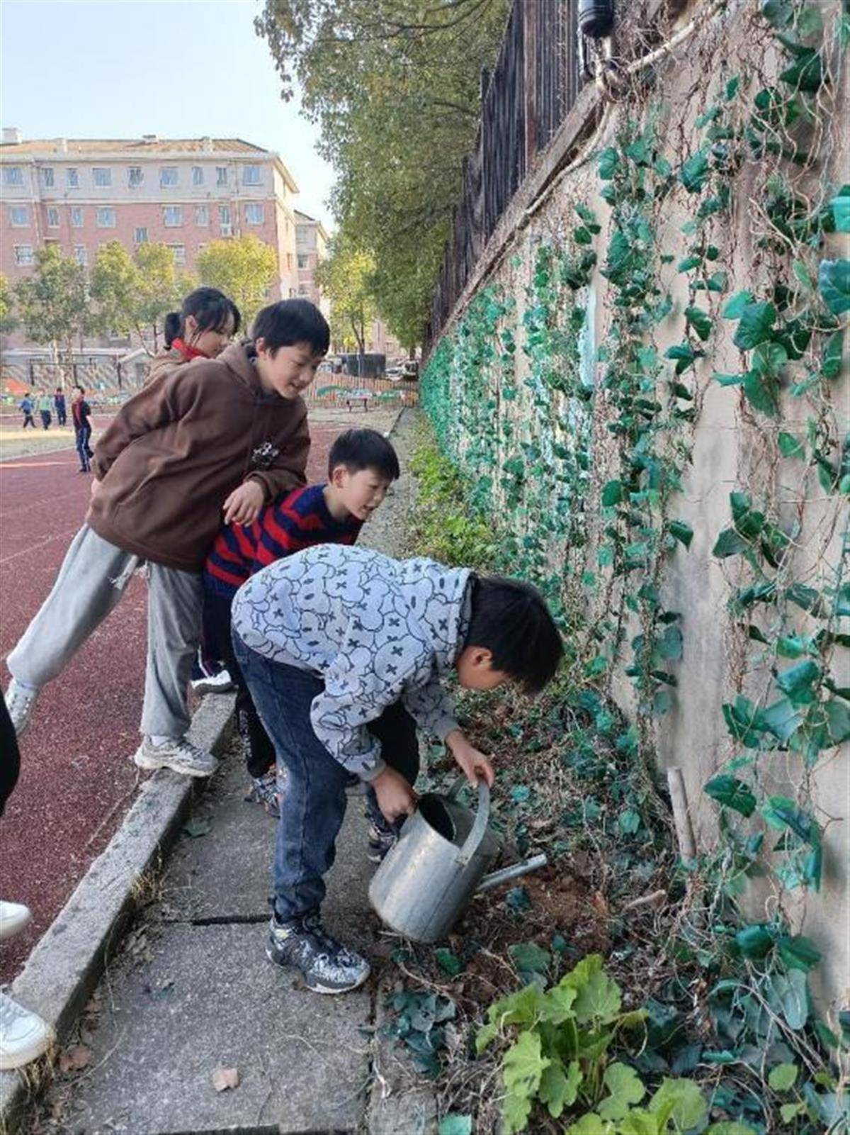 种登山虎、听雷锋故事，武汉市青山区逃“锋”少年们在动作