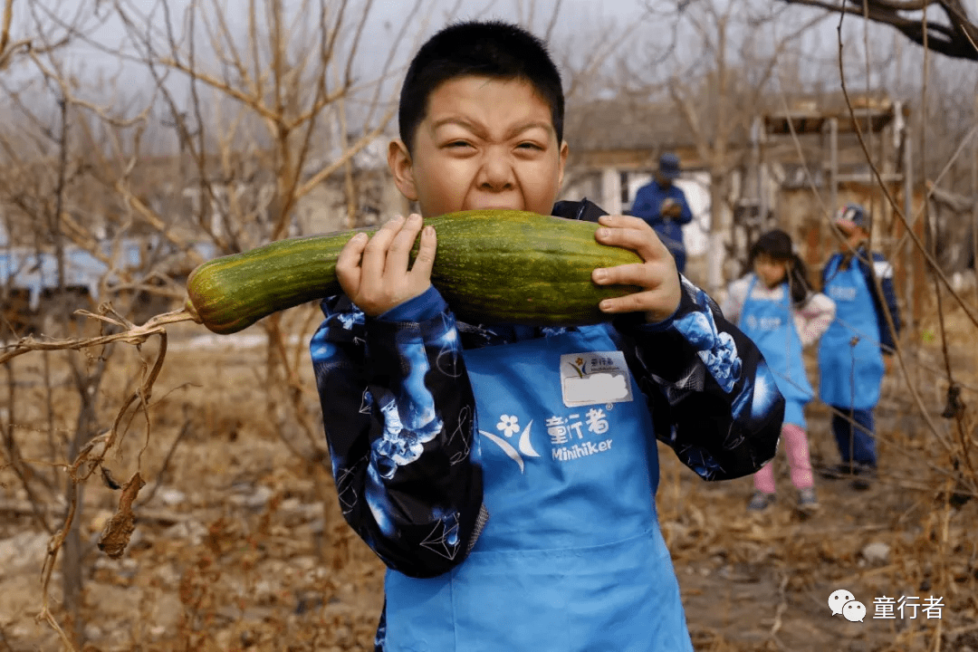 Back to Earth丨大地之子农做系列课程（春夏日）