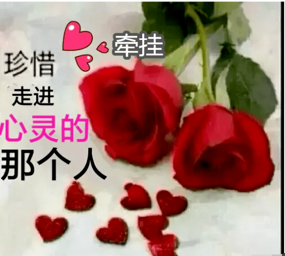 新的一天,好好珍惜那个牵挂你的人,开心快乐每一天,平安健康一生_信任