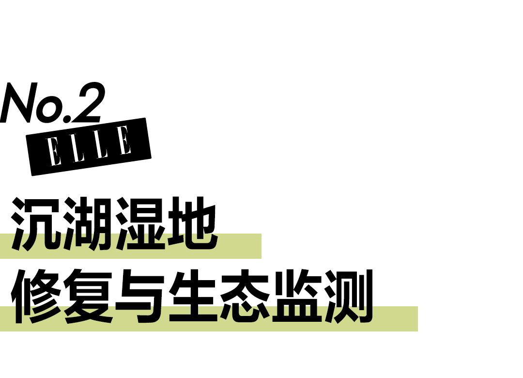 公益短片《守护湿地之美》｜张天爱与吴宣仪配合助力湿地恢复，续写生态平衡