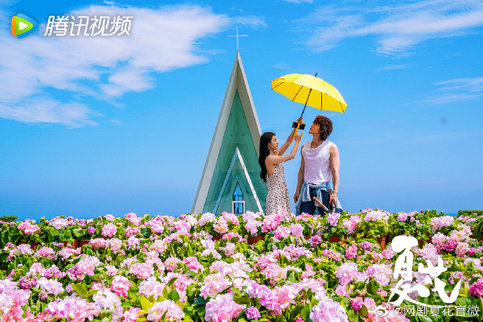 爱情剧还能如何创新?《夏花》做了个试验|对话主创_萧寒_套路_张娜