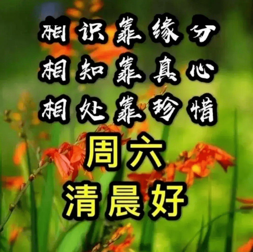 早上好祝福语图片大全