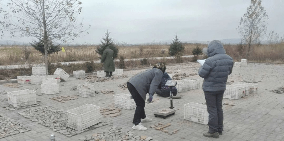 “寺庙”珲春古城村寺庙址入围2022年度全国十大考古新发现终评