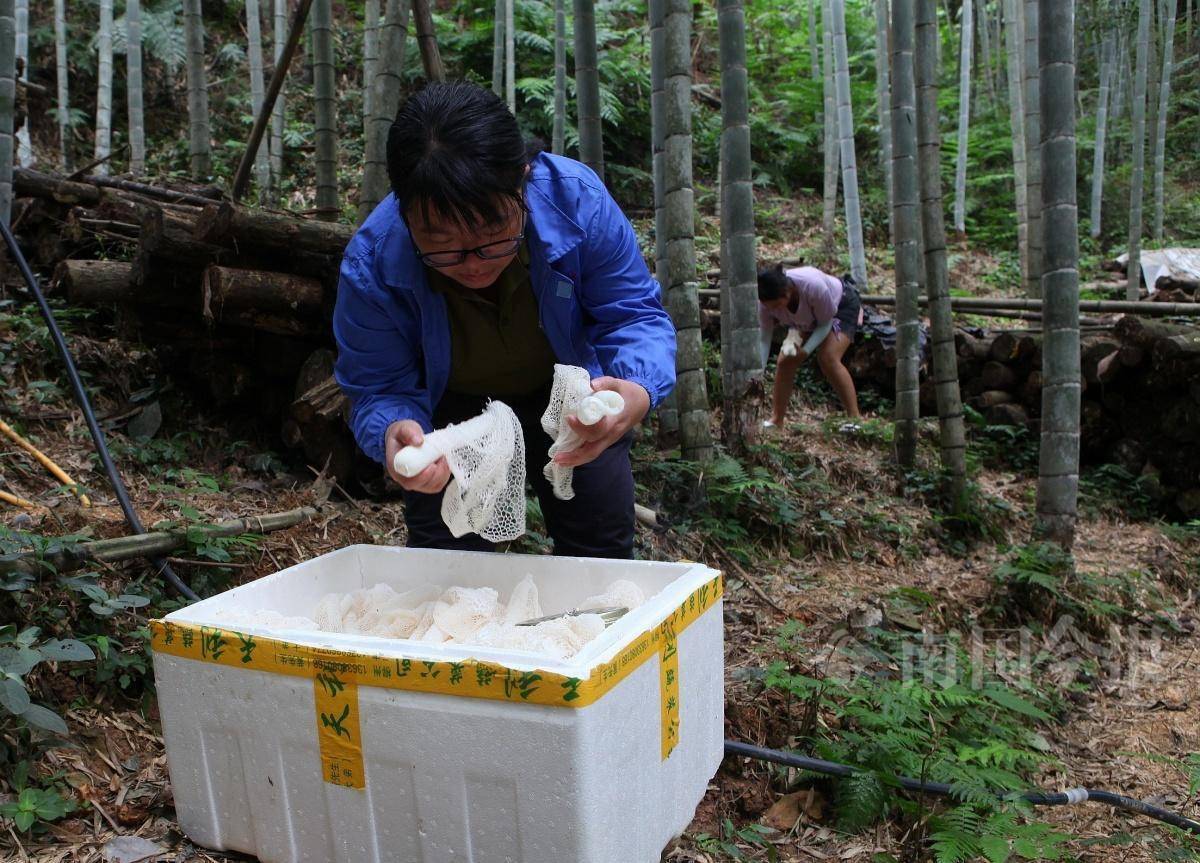 感动中国2022年度人物杨宁 图5