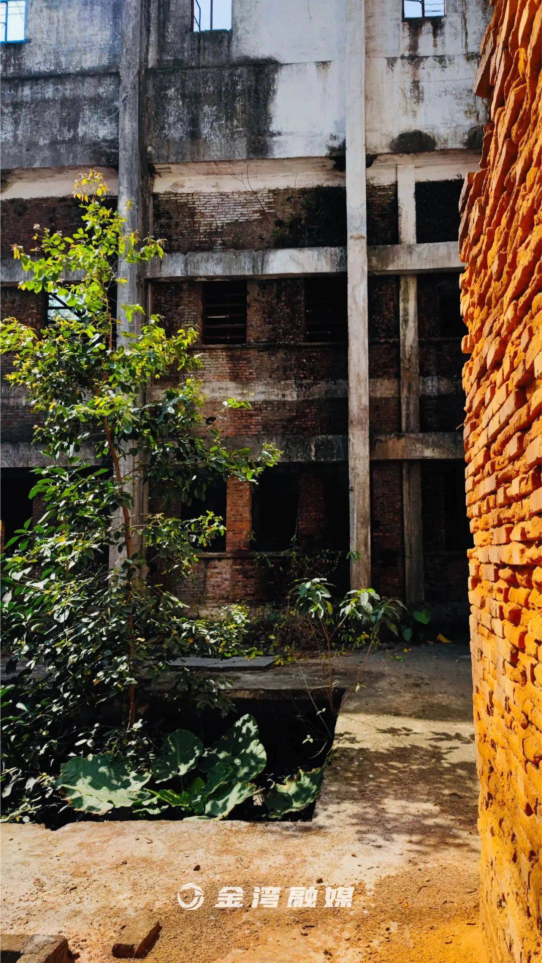 53岁的老糖厂,这次是真的要说再见了……_红旗糖厂_厂区_记忆