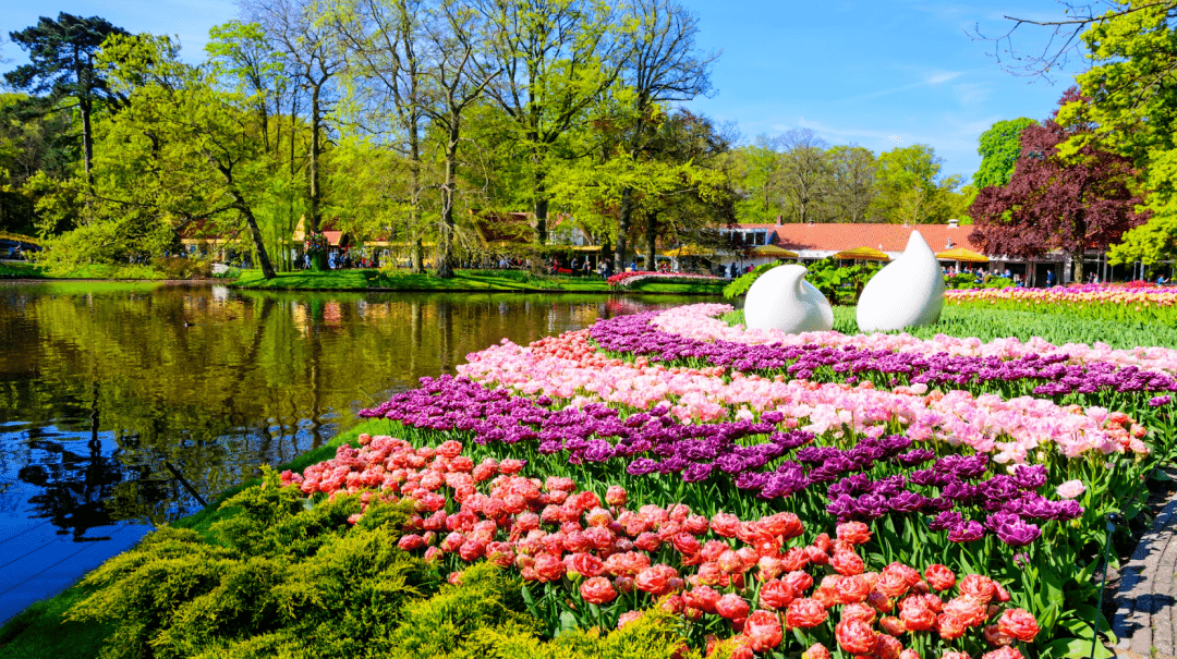 �����������Ŀ�ĵأ�������ϻ��򻨻ܹ�԰��