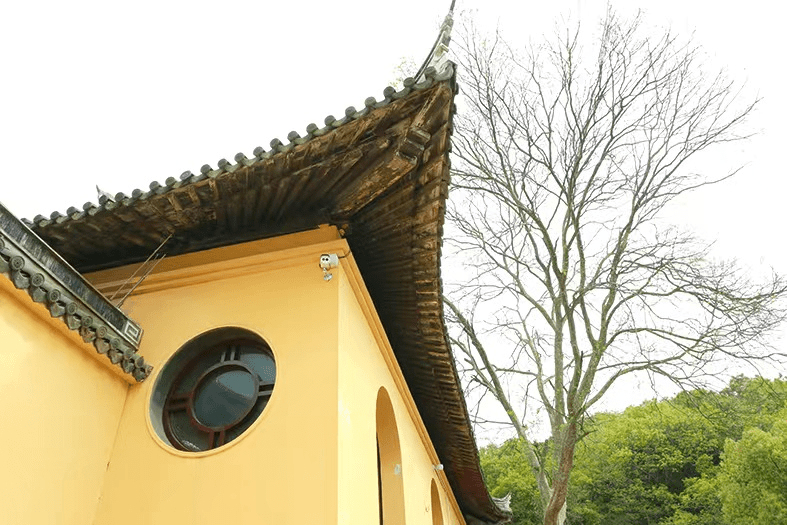 古树名木,古井传奇山上有大林寺,白龙观和福寿庵明末清初是"烟火千家