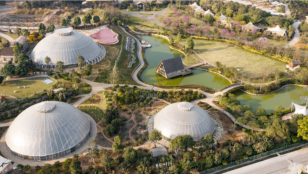 6种女神节打开方式~浪漫的不是春天,而是你_线路_赏樱_华安