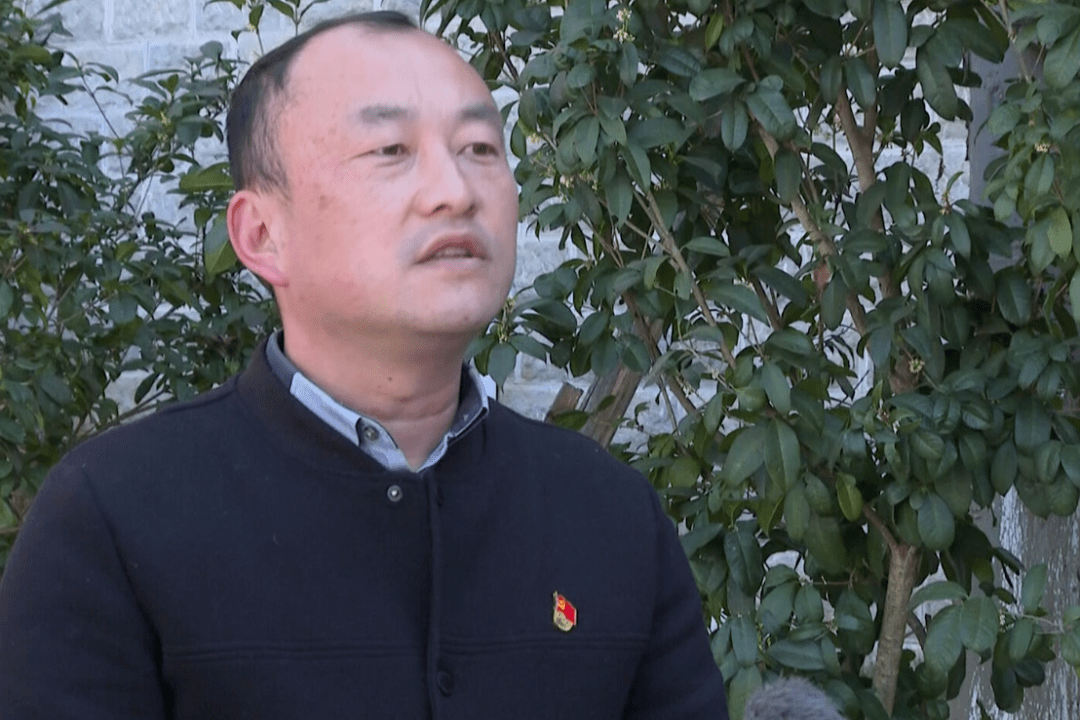 龙朋镇:聚力打造商贸街镇 助推经济高质量发展_集镇_石屏县_优势