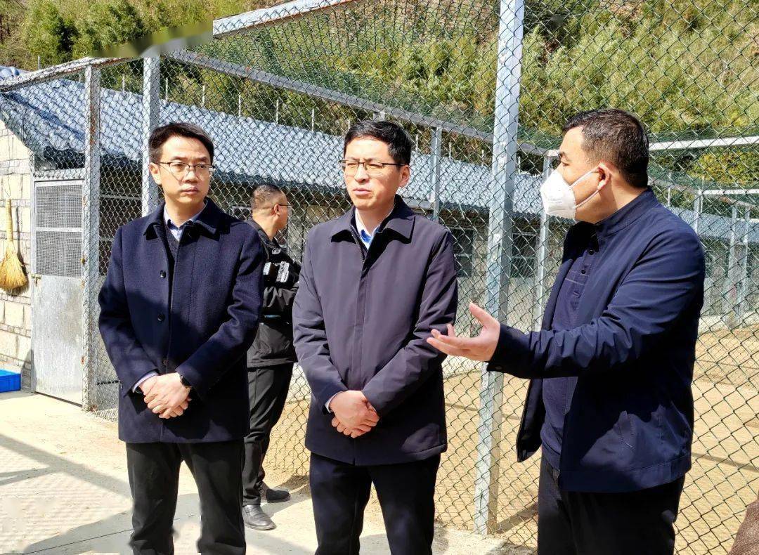 张俊峰调研重点项目建设,环境整治和安全生产工作_产业_乡村_企业