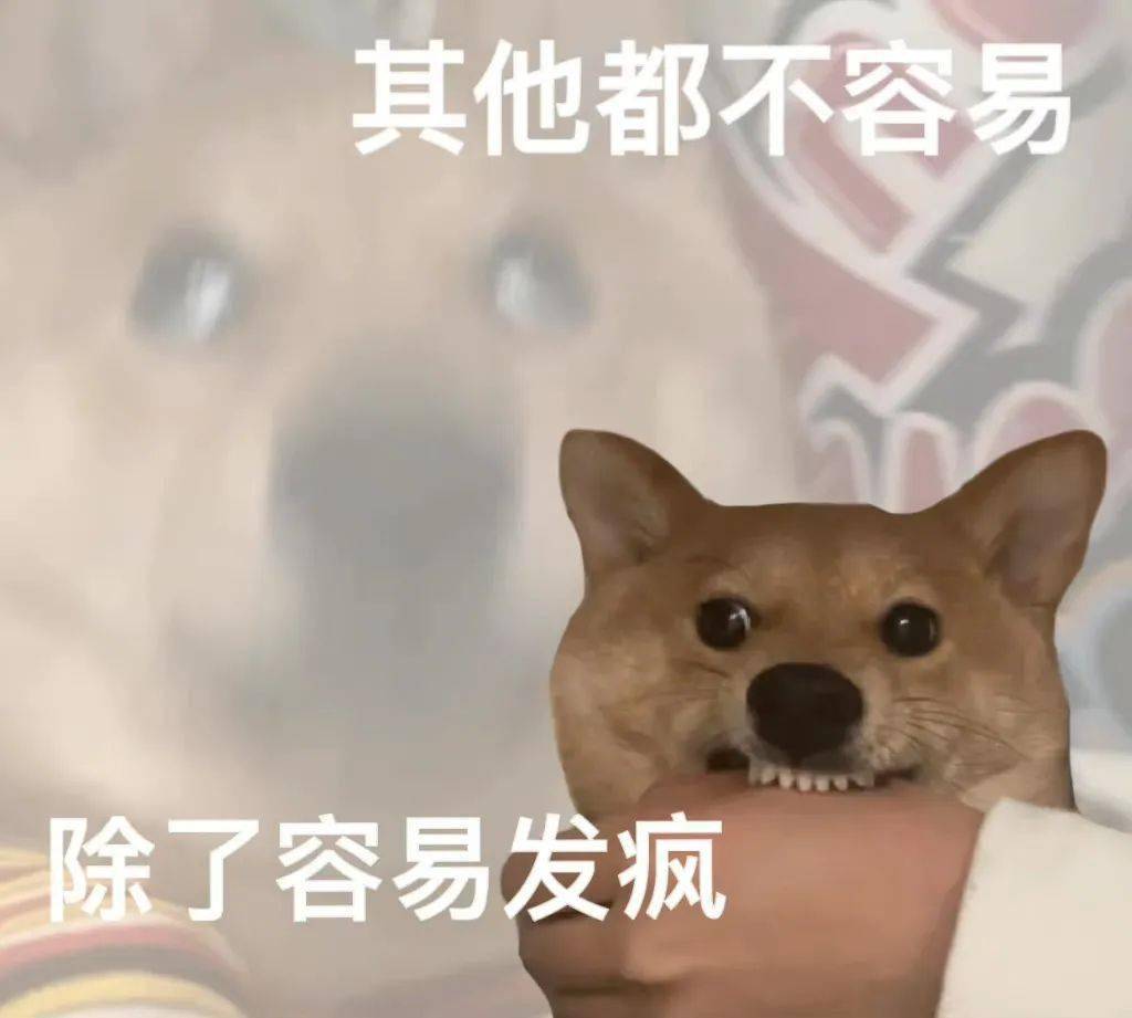 表情包|很内向 出门都走下水道