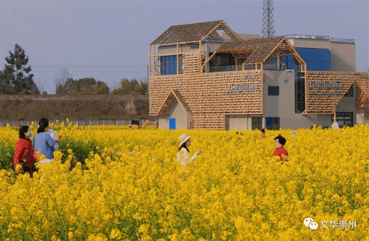 五星村简介图片