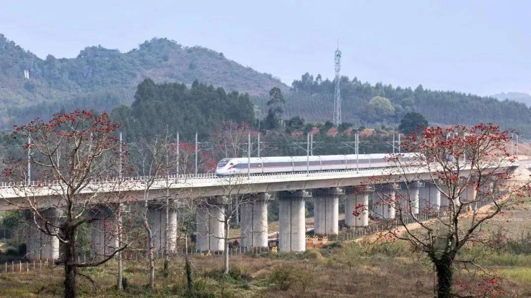 刘莉云 摄20年后的今天,崇左实现了高铁通车,风驰电掣,天涯比邻,让耨