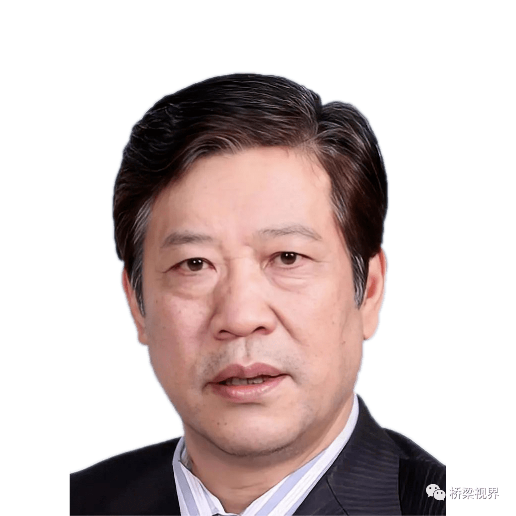 大学聂建国中国工程院院士清华大学胡春宏中国工程院院士中国水利水电