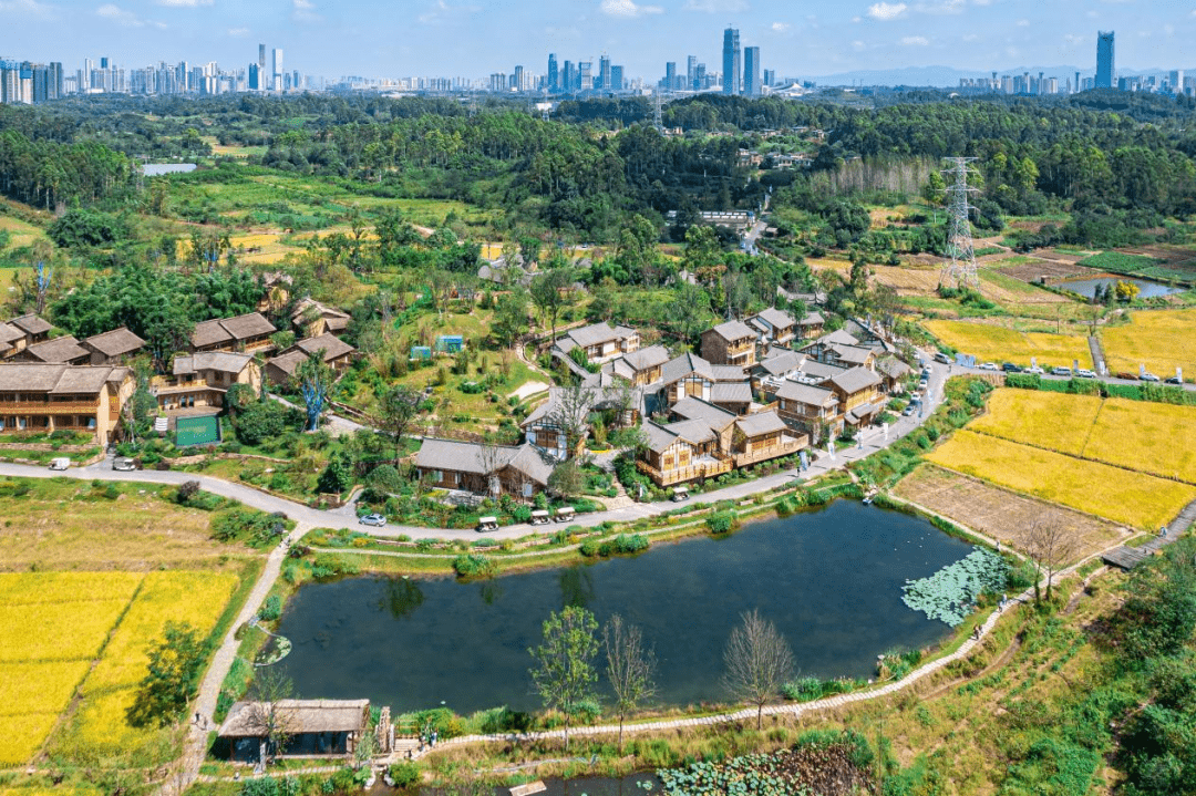了一层春日限定的黄在正兴街道官塘的田野上正兴街道官塘村01方便快捷