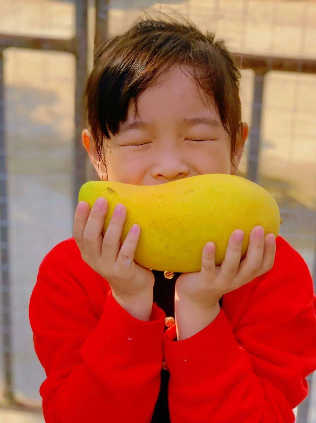 芒果香气浓郁,果肉又厚又甜,吃完想原地去三亚谈恋爱!