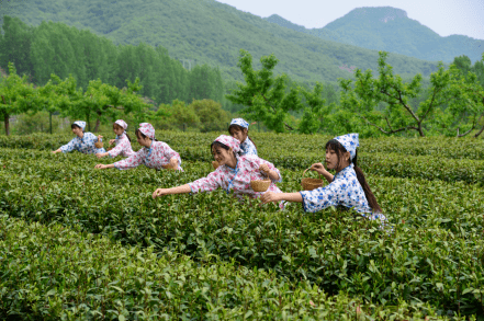 美翻了我的村 | 河南省济源市思礼镇