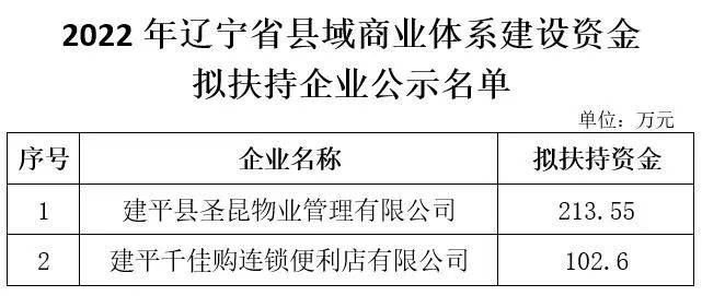 2022年辽宁省县域商业体系建设资金拟扶持企业公示