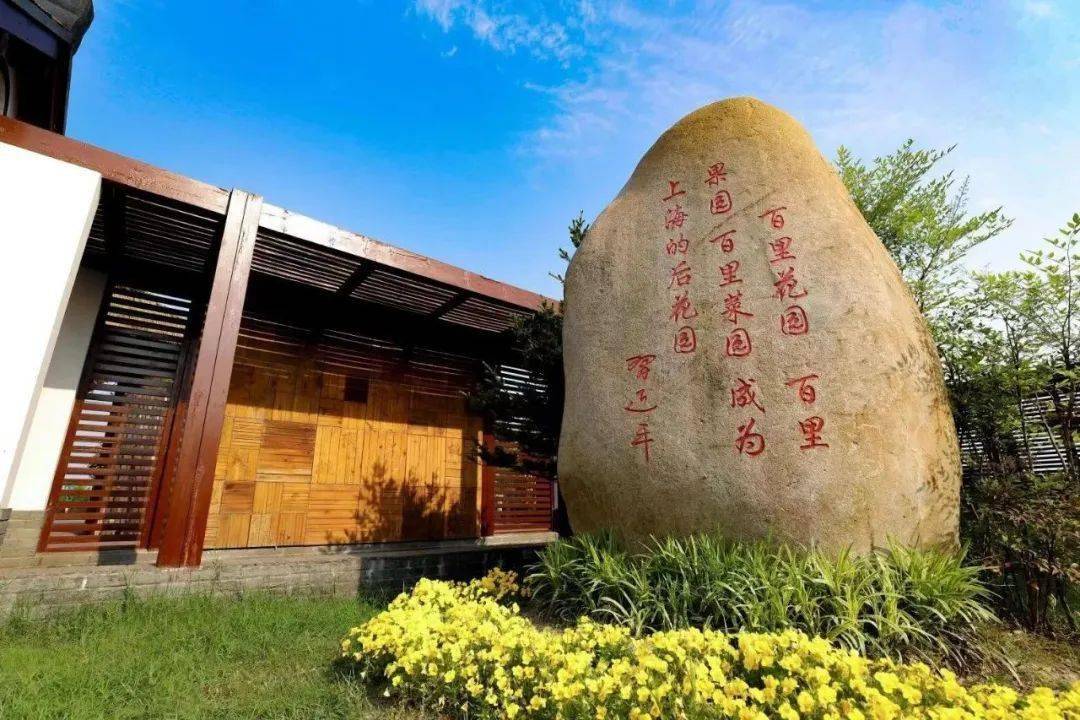 田园赞歌在 "三个百里"重要指示驱动下,金山乡村田园生态变的更加富有