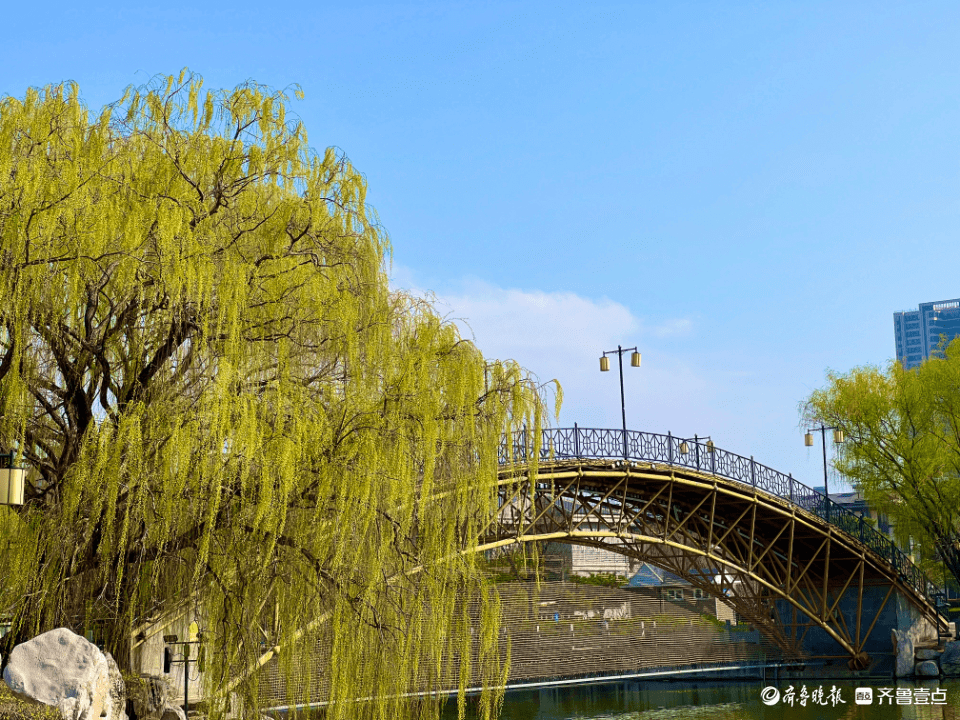 泰安市凤凰湖公园图片