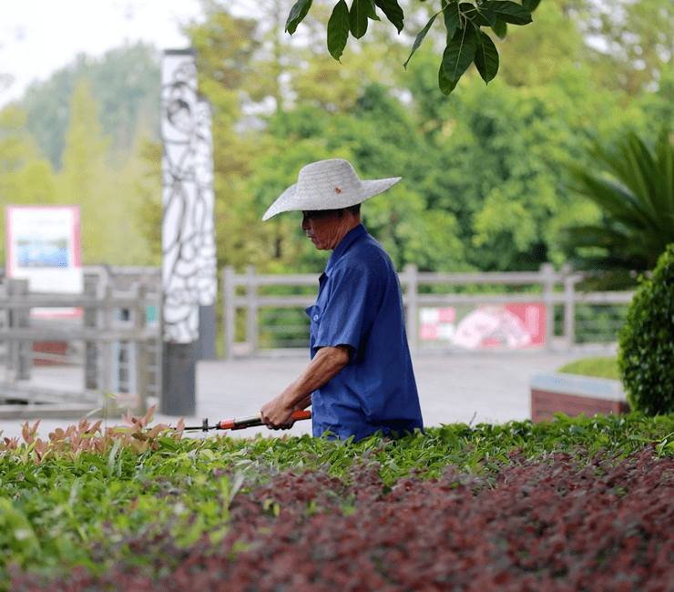 中国梦 劳动美|清和长桥"五一"活动素材招募令_照片_征集_工作